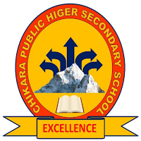 Chikara P.H.S. School