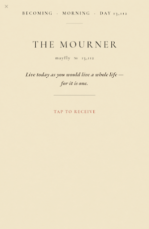 Mayfly Life: Memento Mori Screenshot 1