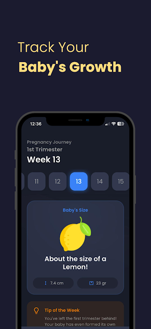 Pregnancy Journey Screenshot 0
