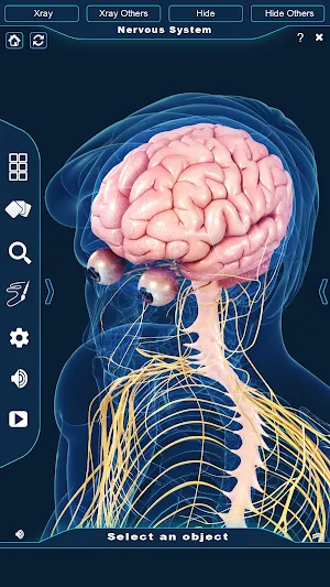Nervous System Anatomy Pro. Screenshot 1