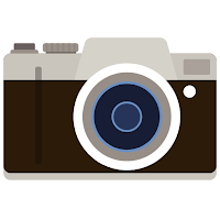 Photo Motion Effects: Animator