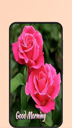 good morning rose Screenshot 2