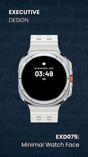 EXD075: Minimal Watch Face Screenshot 2