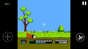 Duck Shoot Screenshot 3