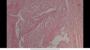 NarikaConnect Screenshot 1