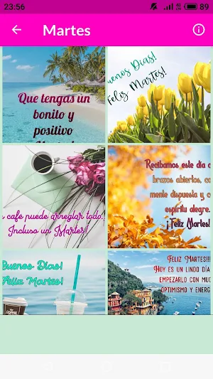 Saludos Días de la Semana Screenshot 1