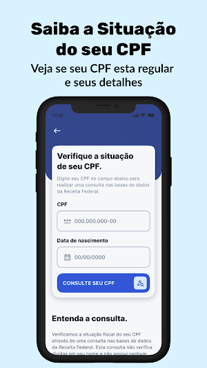 Guia Score e Situação CPF Screenshot 3