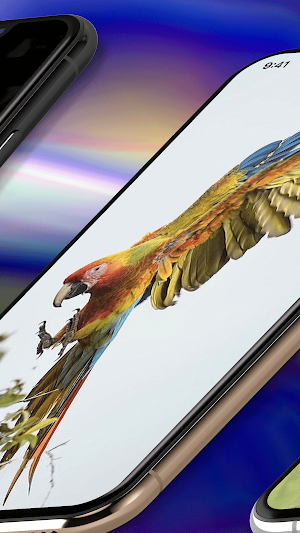 Parrot Wallpaper HD Screenshot 2