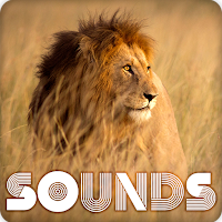 Lion Sound RIngtones