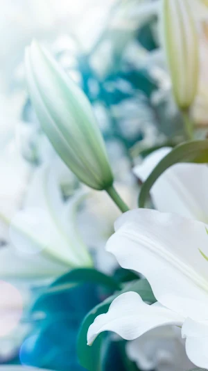 Easter Lily Wallpaper Screenshot 2