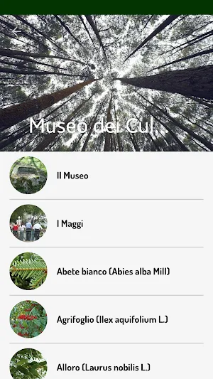 Museo dei culti arborei Screenshot 1