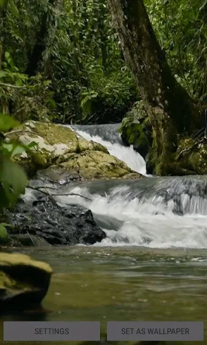 Naturally Water Live Wallpaper Screenshot 0
