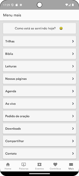CISV Screenshot 3
