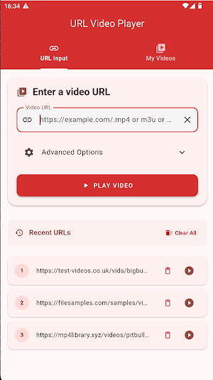 Url Video Player Screenshot 0