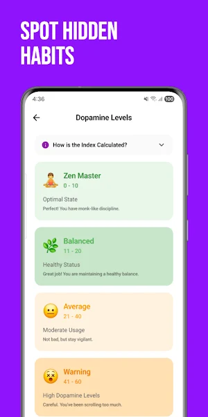 Dopamine Index: Digital Detox Screenshot 1