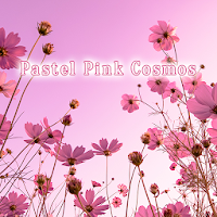 Pastel Pink Cosmos Theme