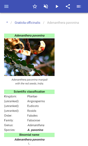 Medicinal herbs Screenshot 2