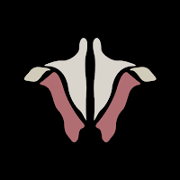 Institute of Human Anatomy
