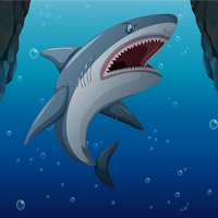 Hungry Shark