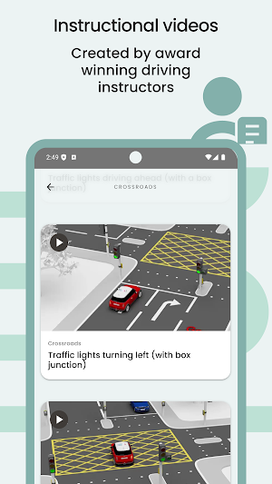 Learn to Drive Pro Screenshot 1