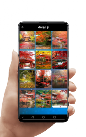 Cherry blossom wallpapers Screenshot 3