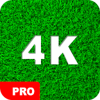 Green Wallpapers PRO