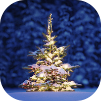 Christmas Tree Wallpaper