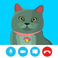 Fake Call Video Cat