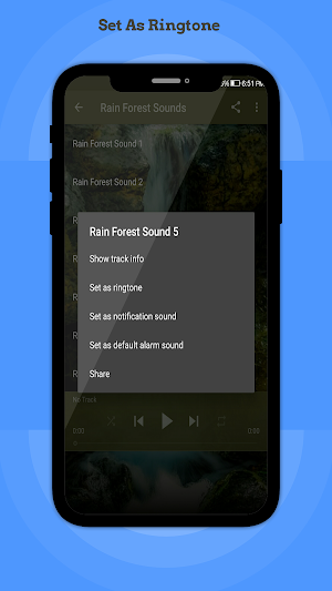 Rain Forest Sounds Screenshot 2