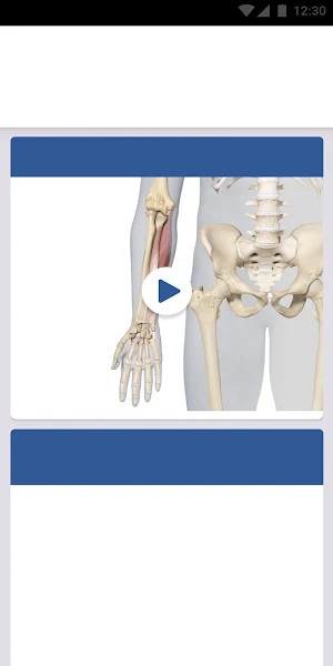 3D Spasticity Screenshot 3