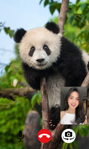 Baby Panda Video Call Screenshot 0