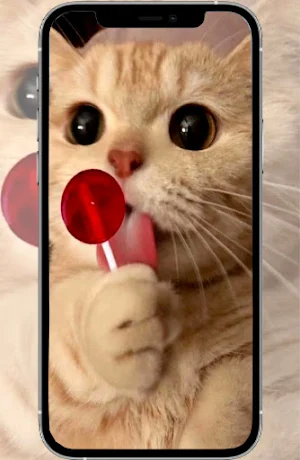 Cute Animals Wallpaper Offline Screenshot 1