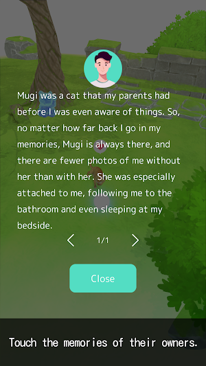 Cat Secret Forest Screenshot 3