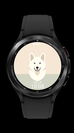jindo cute_dog_002 Screenshot 3