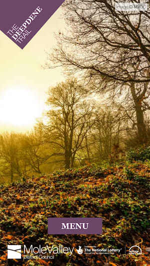 The Deepdene Trail Screenshot 0