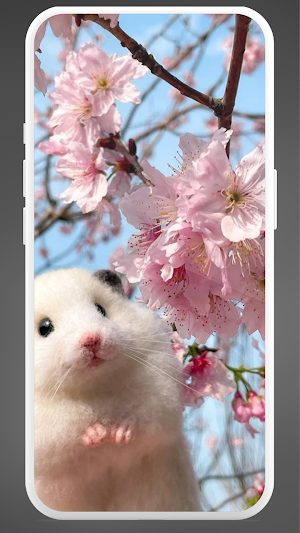 Cute Hamster Wallpaper 4K Screenshot 3