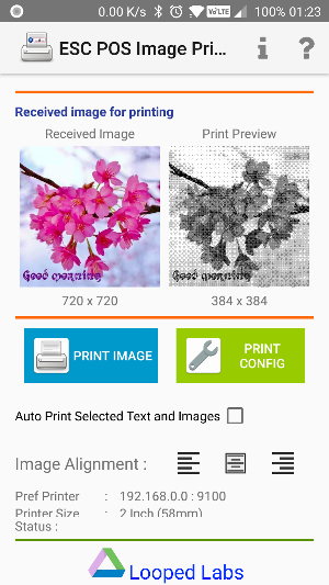 ESC POS Wifi/Network Thermal Receipt Print Service screenshot 2
