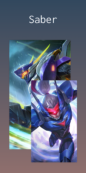 Assassin Wallpaper Screenshot 2