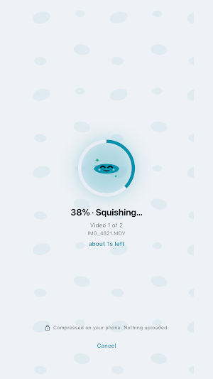 Squish: Video Compressor Screenshot 3