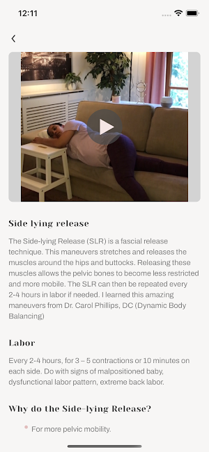 DLM Screenshot 2