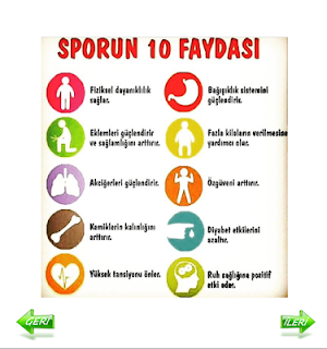 Faydalı Bilgiler Screenshot 1