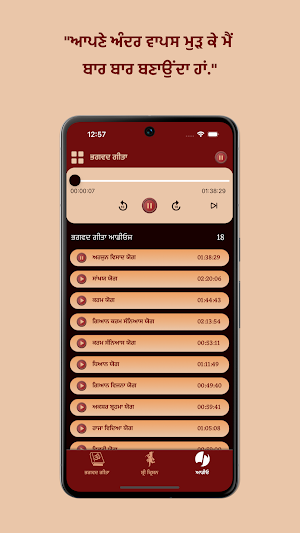 Bhagavad Gita Punjabi Screenshot 3
