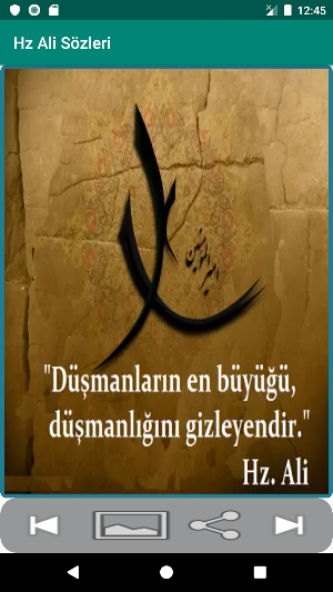 Hz Ali Sözleri Screenshot 1