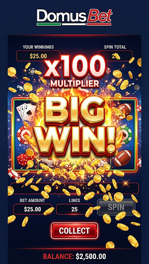 DomusBet Screenshot 1