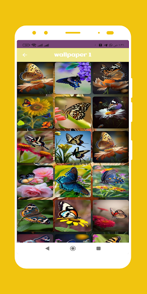 Butterfly wallpaper Screenshot 1