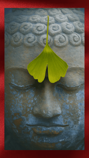 Buddha HD Wallpapers Screenshot 3