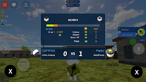 CS PIPAS Screenshot 2