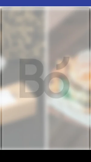 Bó burger & fries Screenshot 2