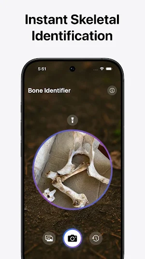 Bone, Skull & Tooth Identifier Screenshot 2
