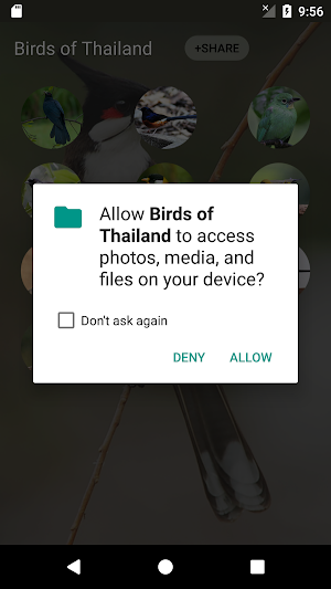 bird sounds from Thailand Screenshot 3